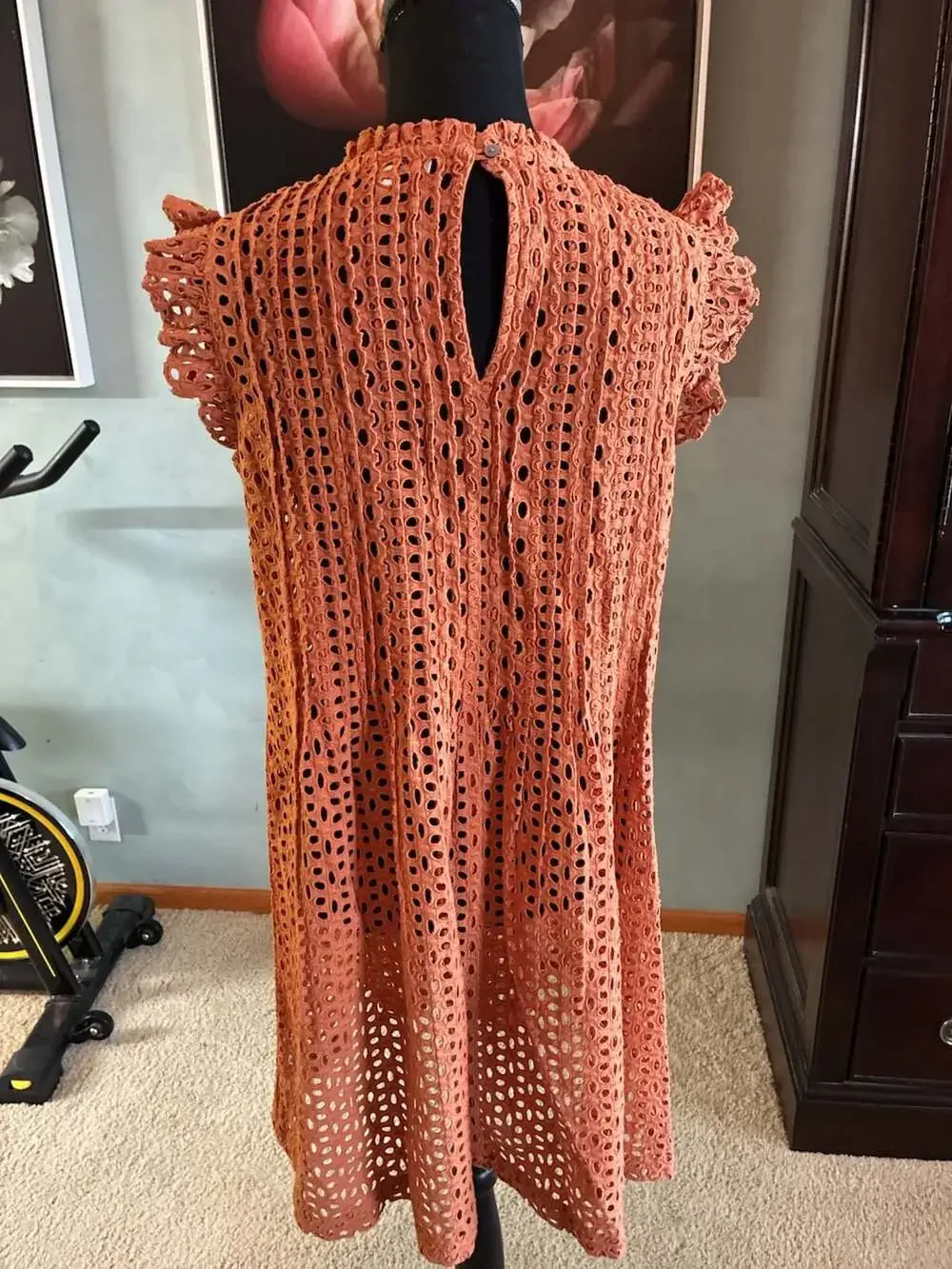 Madewell Eyelet Ruffle-Sleeve Pintuck Mini Dress in Mulled Cider Sz M A679